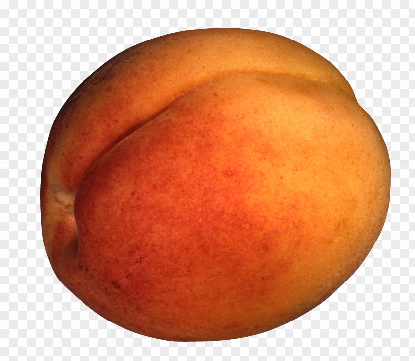 Nectarine Image Resolution Clip Art PNG
