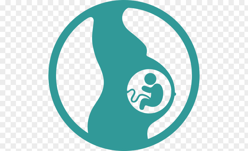 Pregnancy Test Childbirth Fetus PNG
