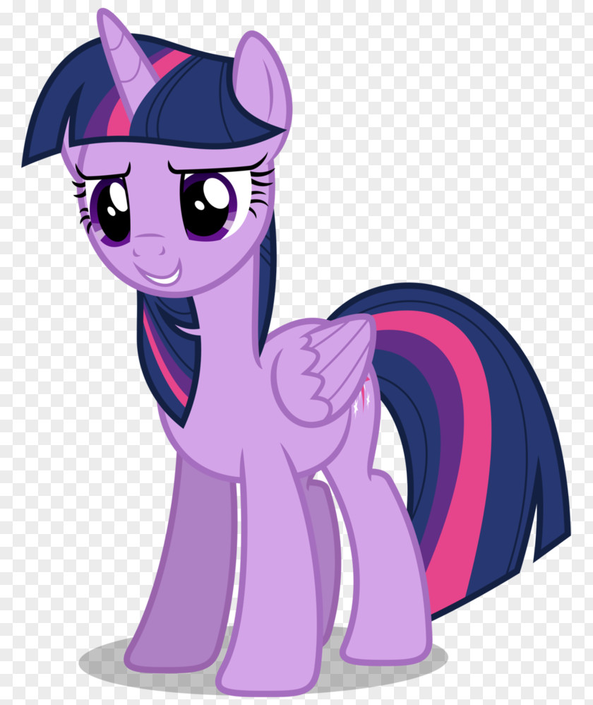 Sparkle Vector Twilight Winged Unicorn Derpy Hooves Pony PNG