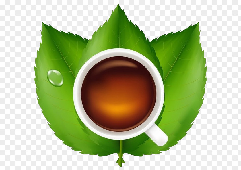 Tea Teacup Green Earl Grey Leaf PNG
