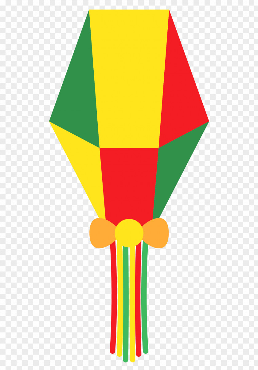 Brahminy Kite Vector Graphics Clip Art Image Design PNG