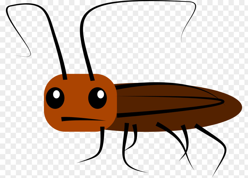 Cockroach Cartoon Clip Art PNG