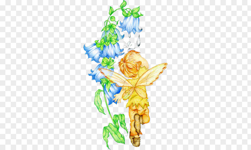 Fairy Pixie PNG