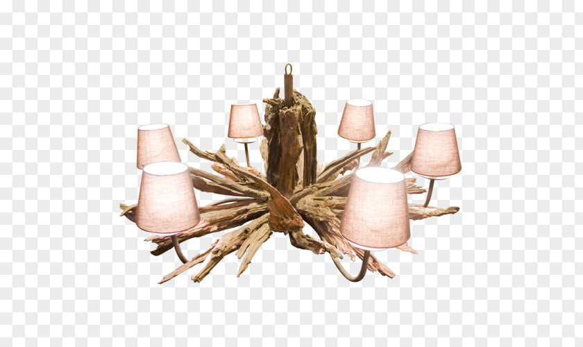 Light Chandelier Driftwood Lamp Furniture PNG