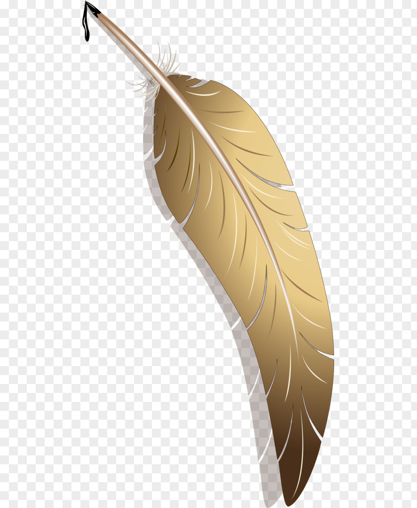 Pen Quill Vector Graphics Paper Image PNG