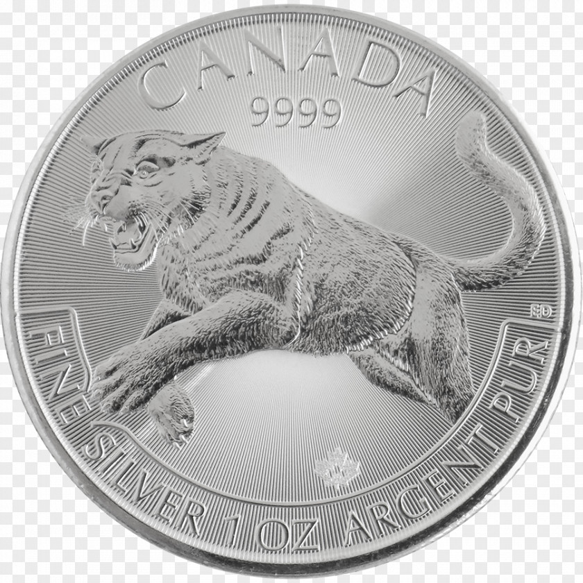 Silver Coin Canadian Maple Leaf Royal Mint Canada PNG