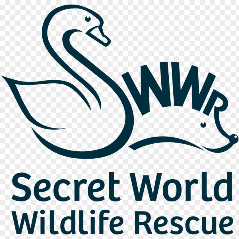 Social Rescue Secret World Wildlife (open For Animal Admissions Only, See Website Public Events) East Huntspill Highbridge PNG