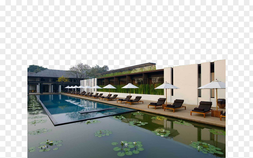 Thailand Is A Modern Hotel Full Of Water Lilies Ping River Anantara Chiang Mai Resort Hua Hin & Spa PNG