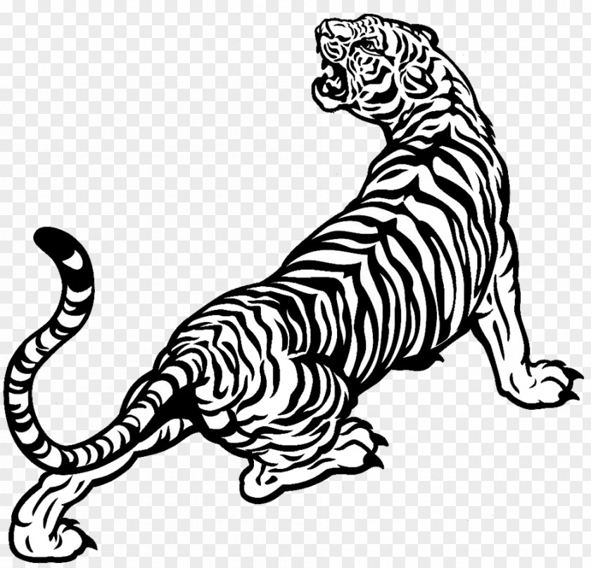 Tiger White Drawing Black And PNG