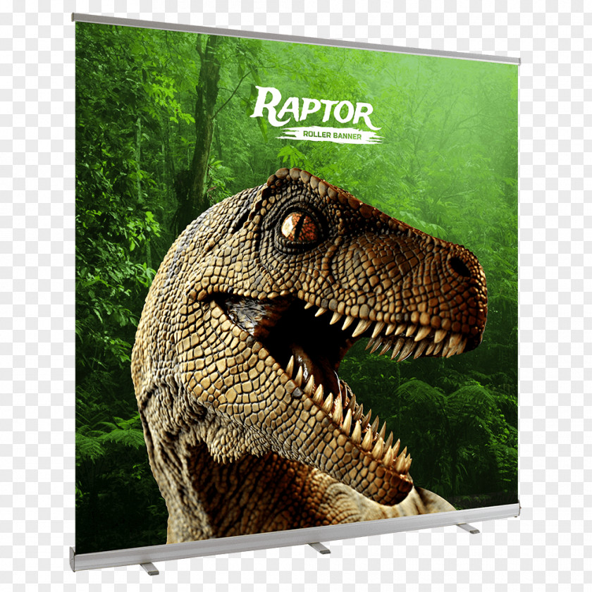 Velociraptor Город динозавров FictionBook PNG