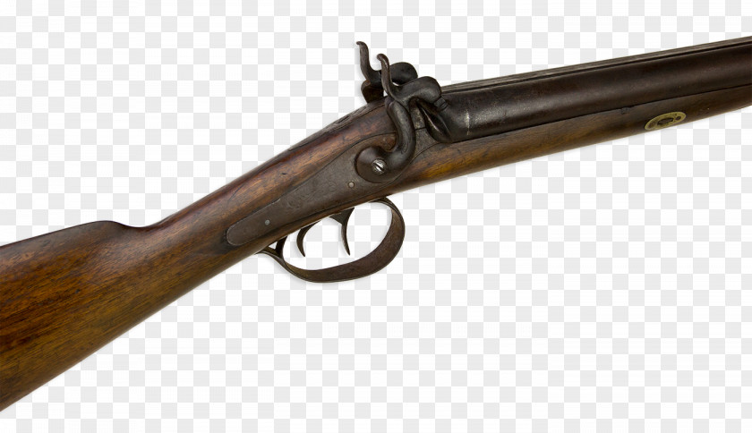 Antique Firearms Trigger Firearm Ranged Weapon Air Gun Reptile PNG