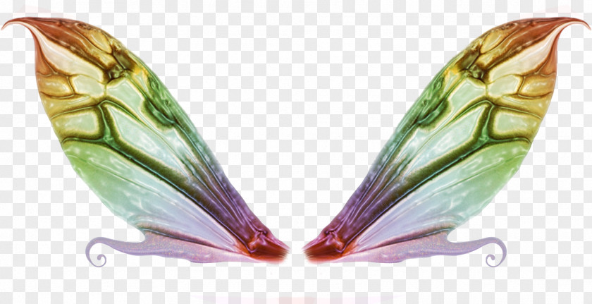 Fairy Image Clip Art Pattern Rainbow Magic PNG
