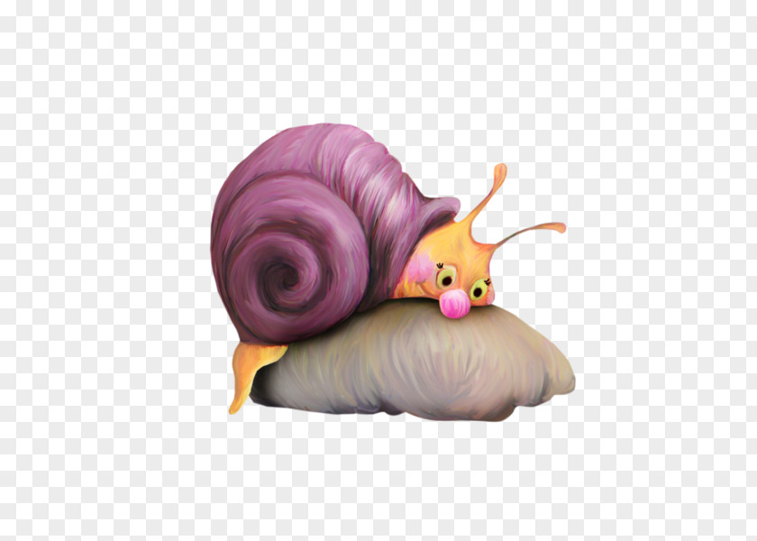 Lovely Snail PNG