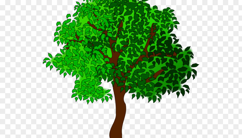 Lush Tree Clip Art Cartoon Image Summer PNG