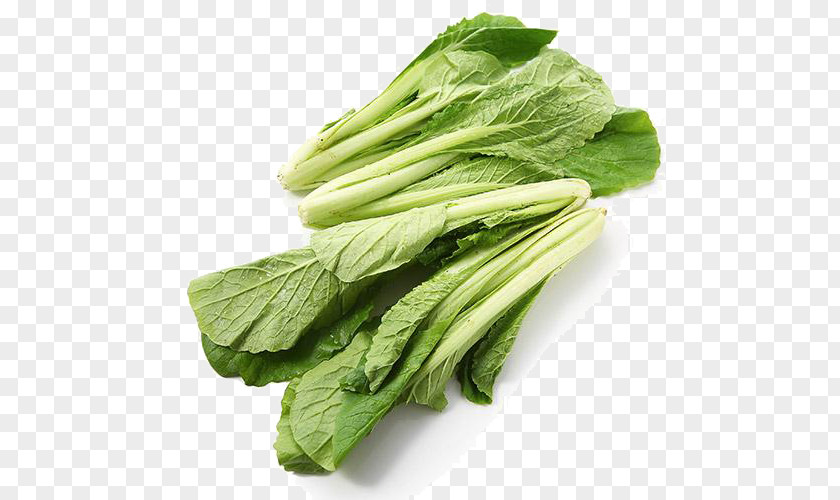 Organic Cabbage Choy Sum Romaine Lettuce Spring Greens Chard PNG