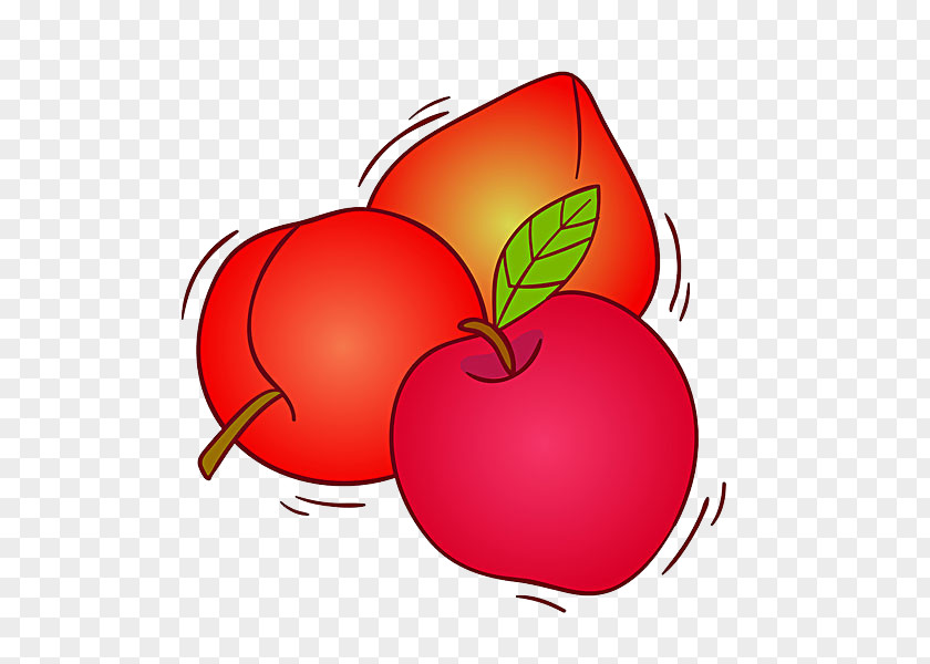 Peach Tomato Fruit Royalty-free Illustration PNG