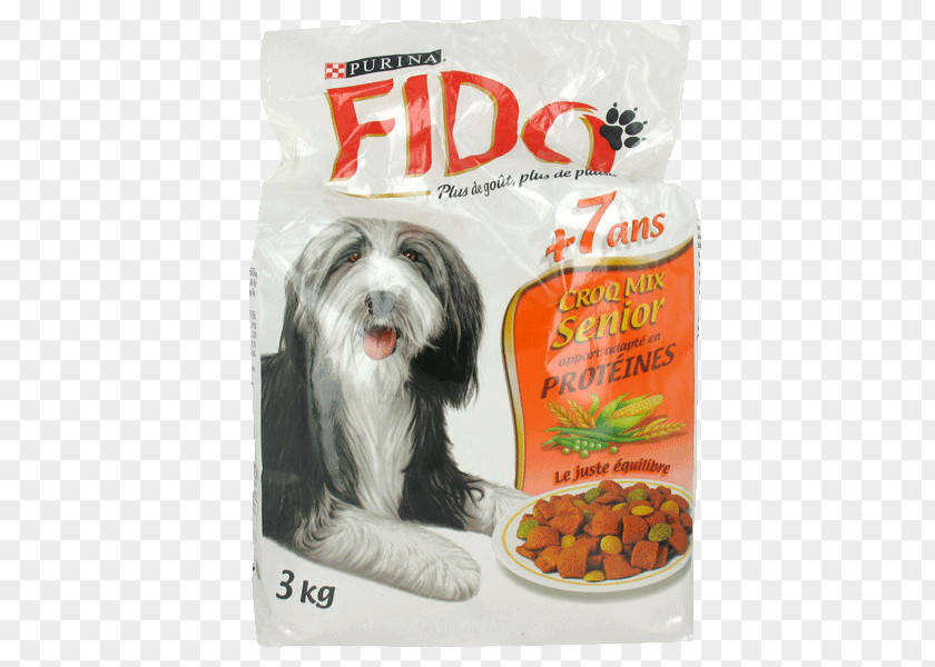 Puppy Dog Breed Havanese Companion Food PNG
