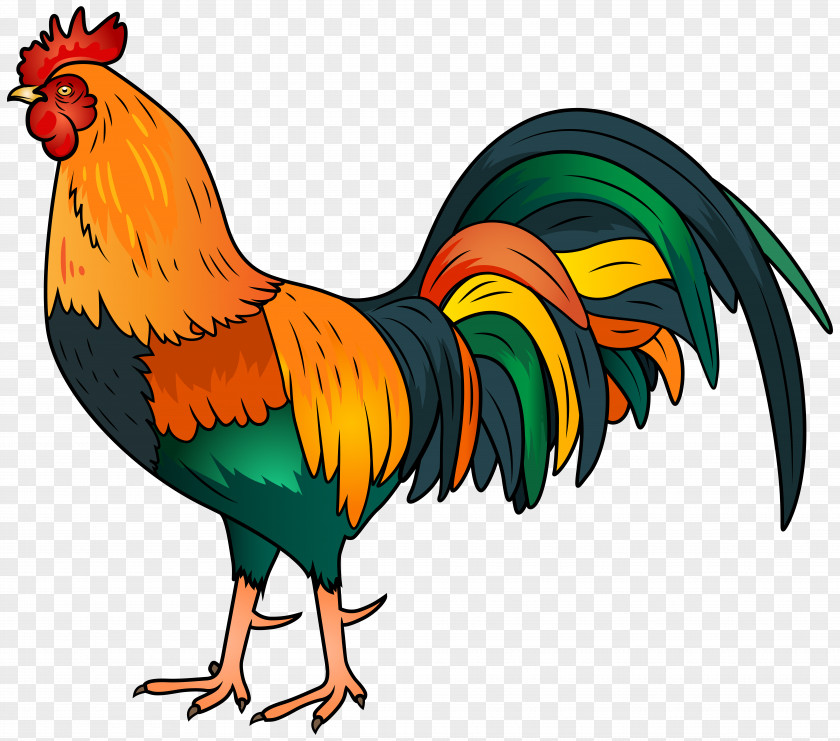 Rooster Clip Art Image PNG