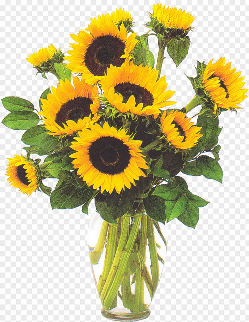 Sunflower Vase With Three Sunflowers Common PNG