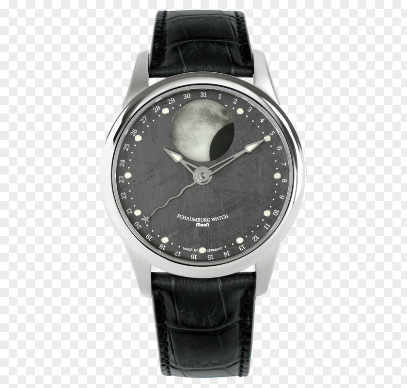Watch Strap Clock Tommy Hilfiger Calvin Klein PNG