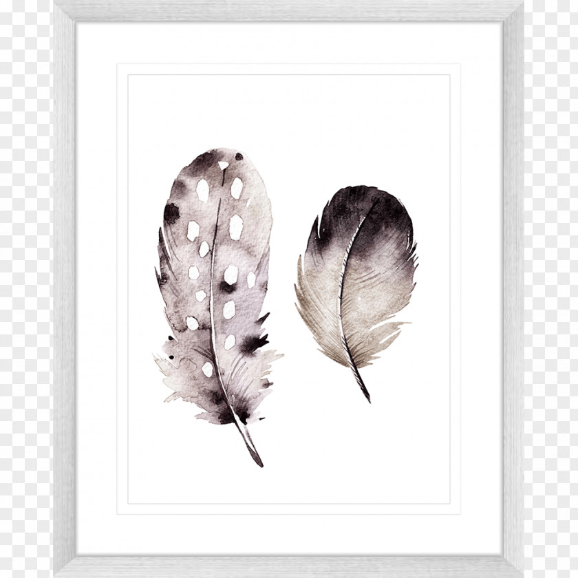 Feather Picture Frames Black White Printing PNG