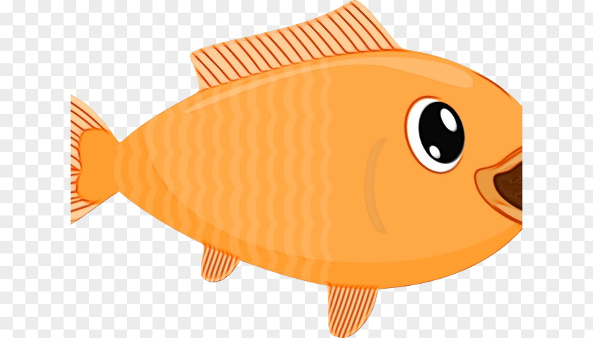 Fish Products Pomacentridae Orange PNG