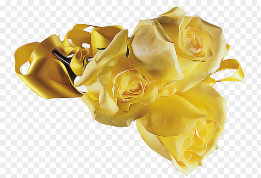Food Plant Garden Roses PNG