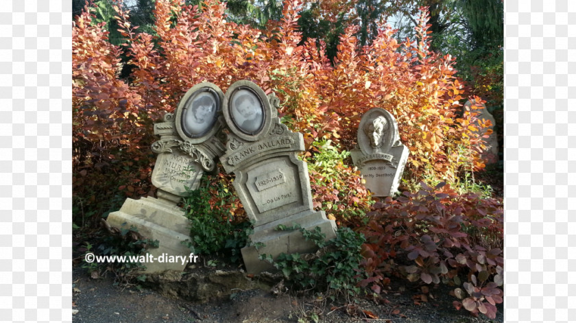 Ghost Phantom Manor Disneyland Park Paris Frontierland PNG