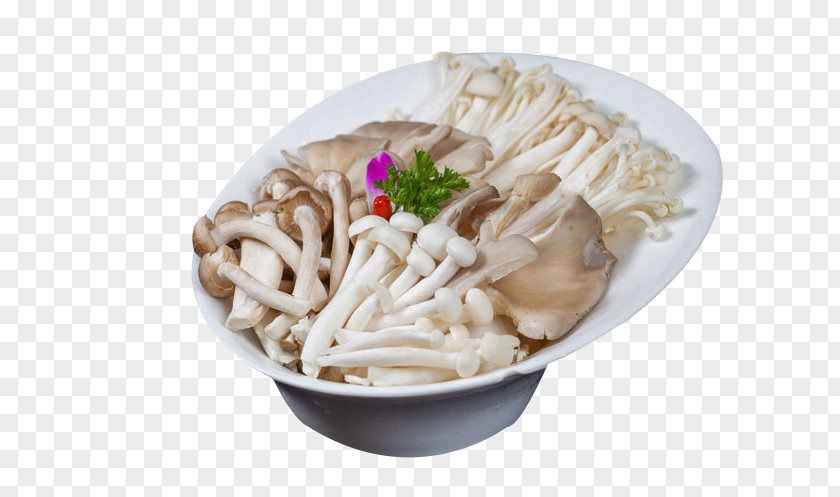 More Mushroom Fight Chinese Cuisine Ingredient Oyster PNG