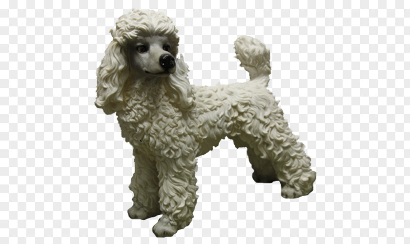 Puppy Standard Poodle Miniature Toy PNG
