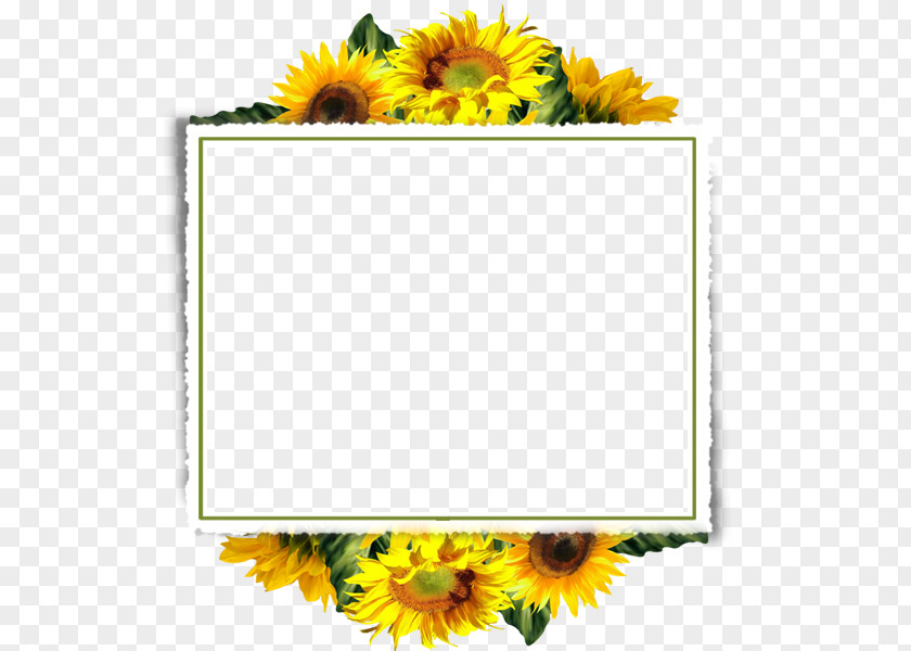 Sunflower Border Clip Art PNG