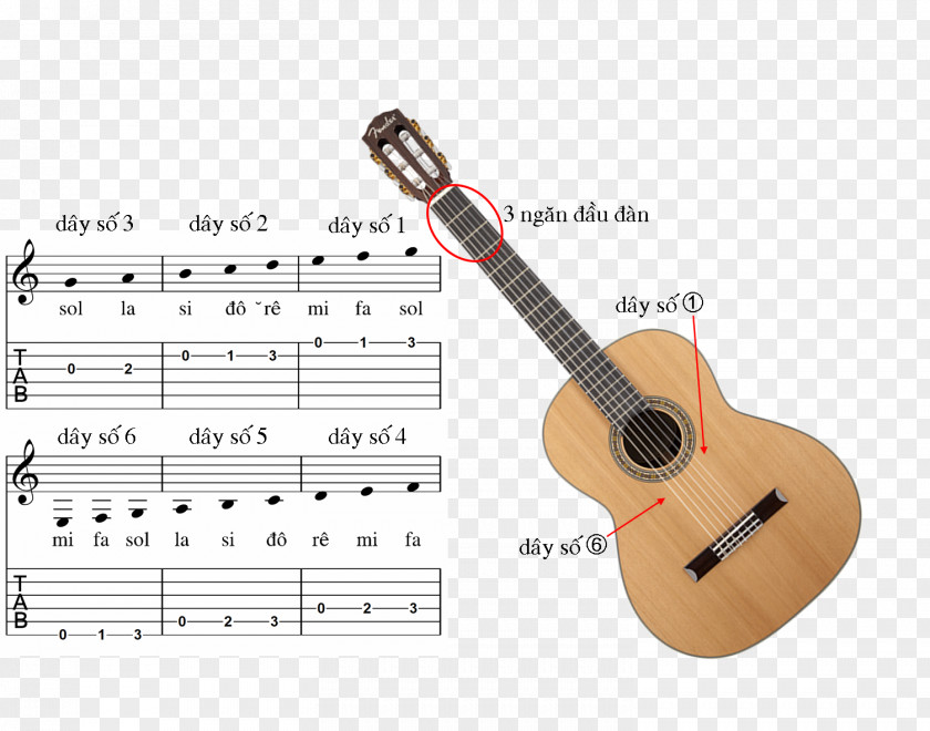 Acoustic Guitar Tiple Cuatro Classical Acoustic-electric PNG