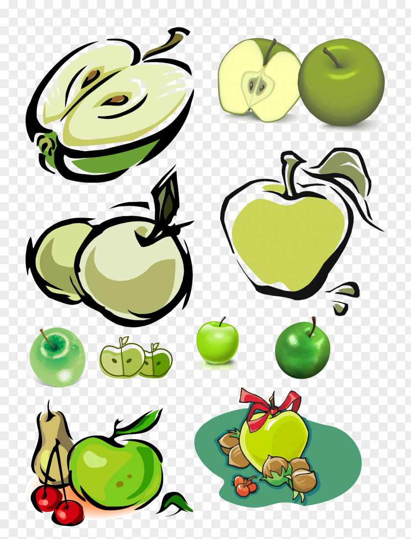 Apple Clip Art Cartoon Fruit Illustration PNG