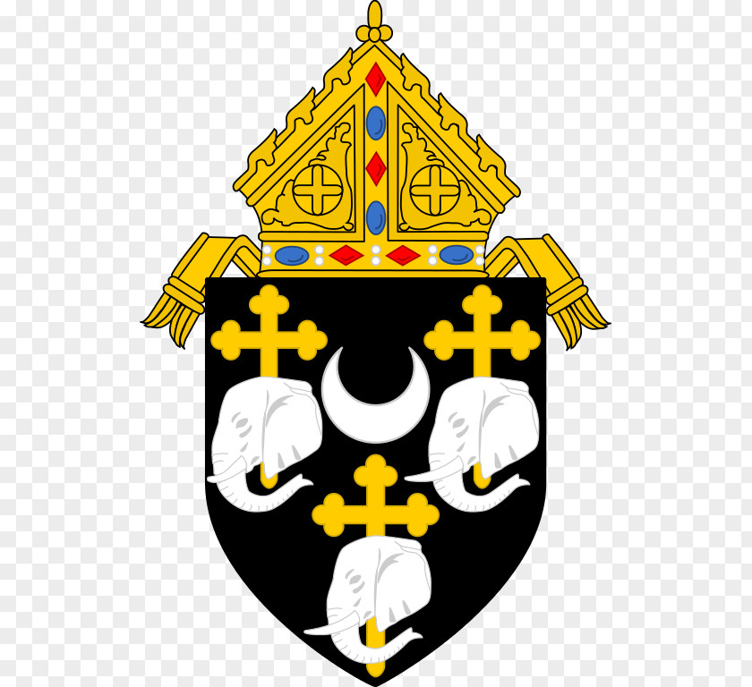 Catholic Roman Diocese Of Cleveland Toledo Archdiocese Cincinnati Philadelphia PNG