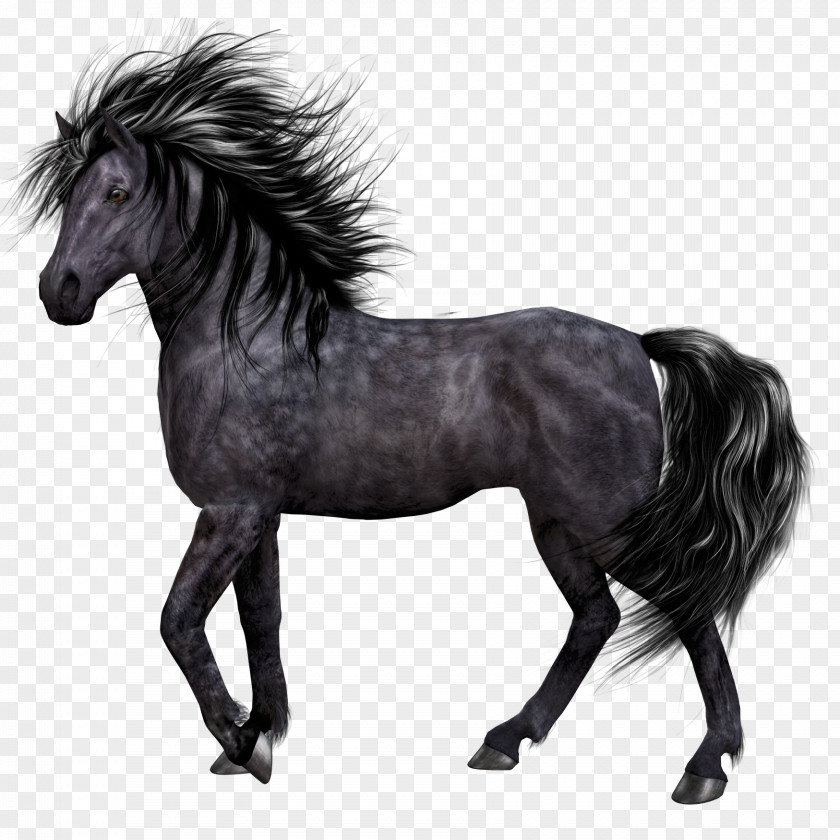 Dark Horse Akhal-Teke 2018 Ford Mustang Horses Przewalskis Pony PNG