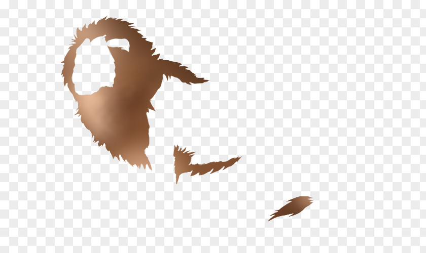 Goose Beak Bird Duck Mallard PNG