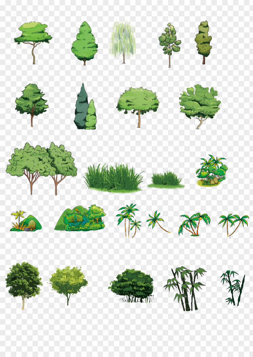 Hand-painted Plants Download Tree Computer File PNG