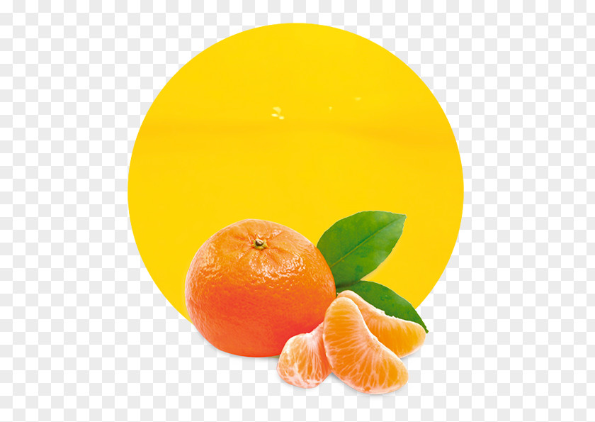 Juice Learning Fruits Mandarin Orange Education PNG