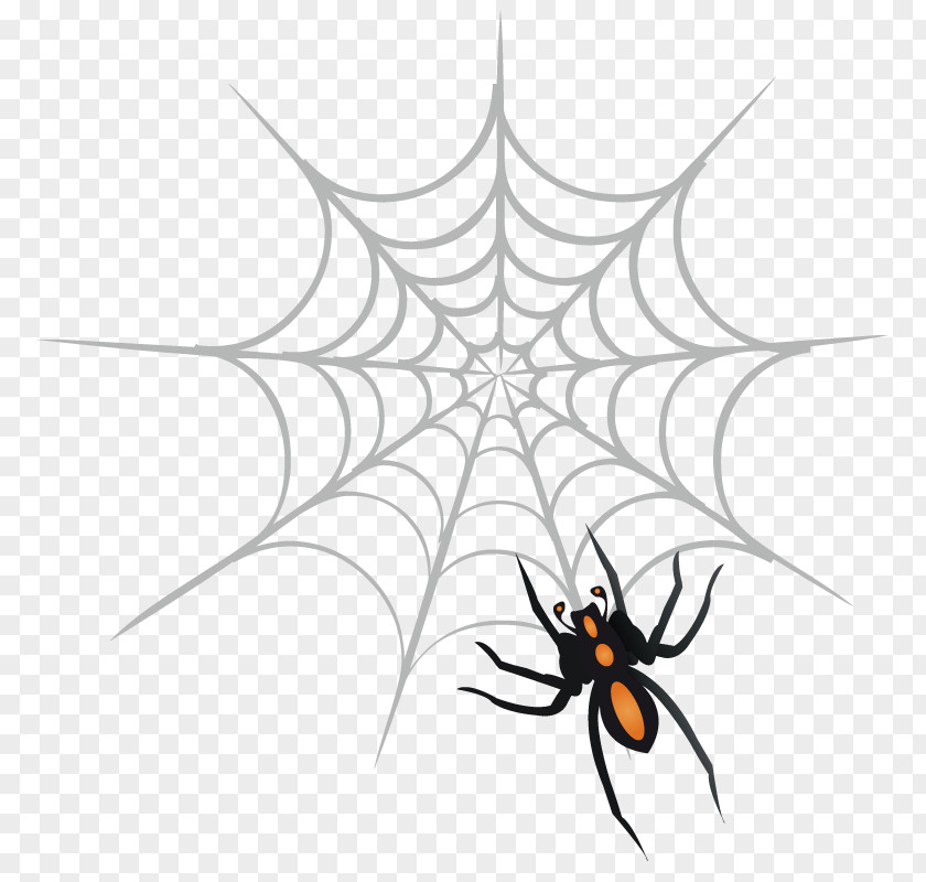 Model Cobwebs Spider Web Clip Art PNG