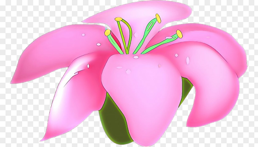 Pink Petal Flower Plant Frangipani PNG
