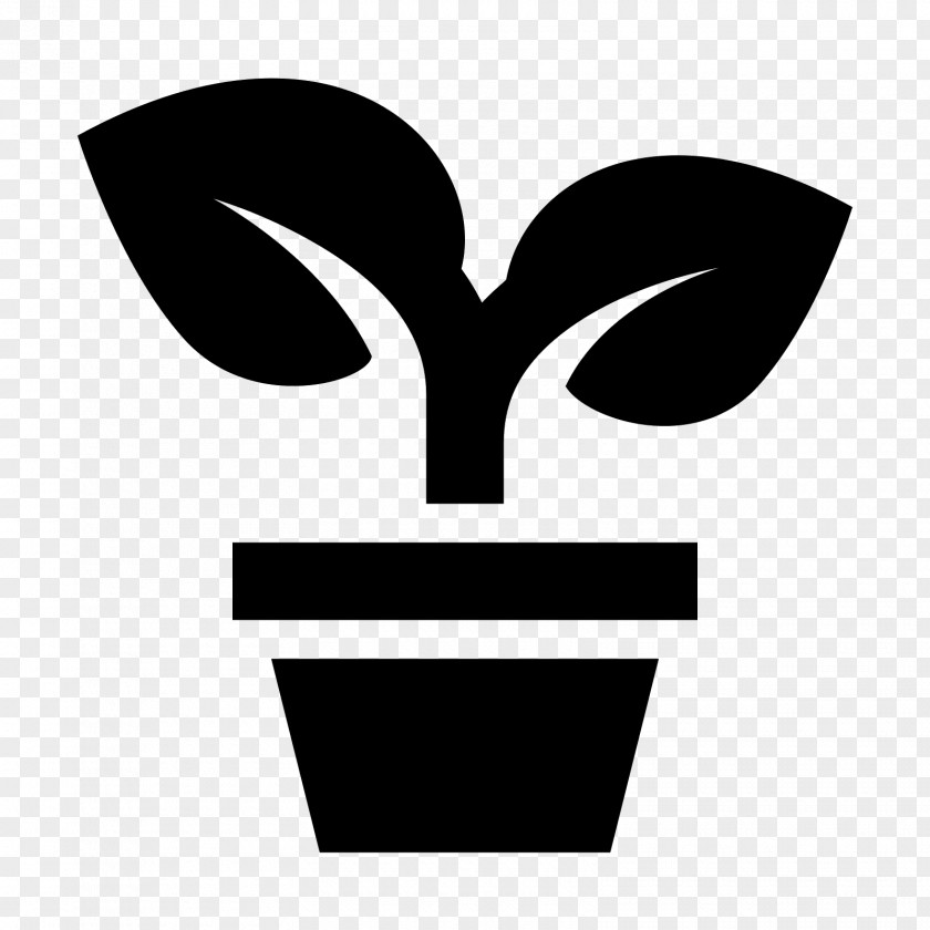 Potted Plants Tree Plant Evergreen Clip Art PNG