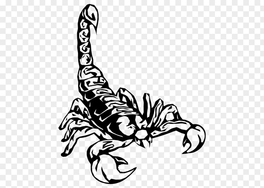 Scorpion Tattoo Artist Flash PNG