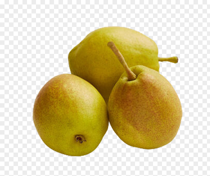 Three Pear Asian Pyrus Nivalis PNG