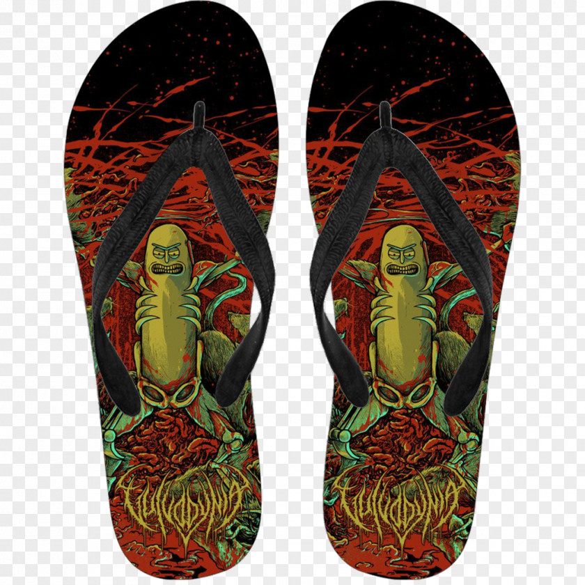 Flip-flops Clothing Shoe Vulvodynia Pickle Rick PNG