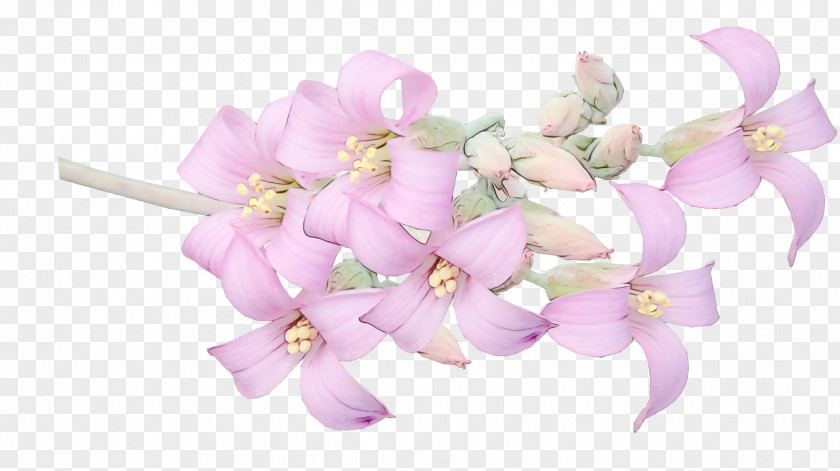 Flower Bouquet PNG