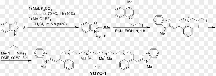 Fluorescent YOYO-1 Fluorophore Dye Stain Fluorescence PNG