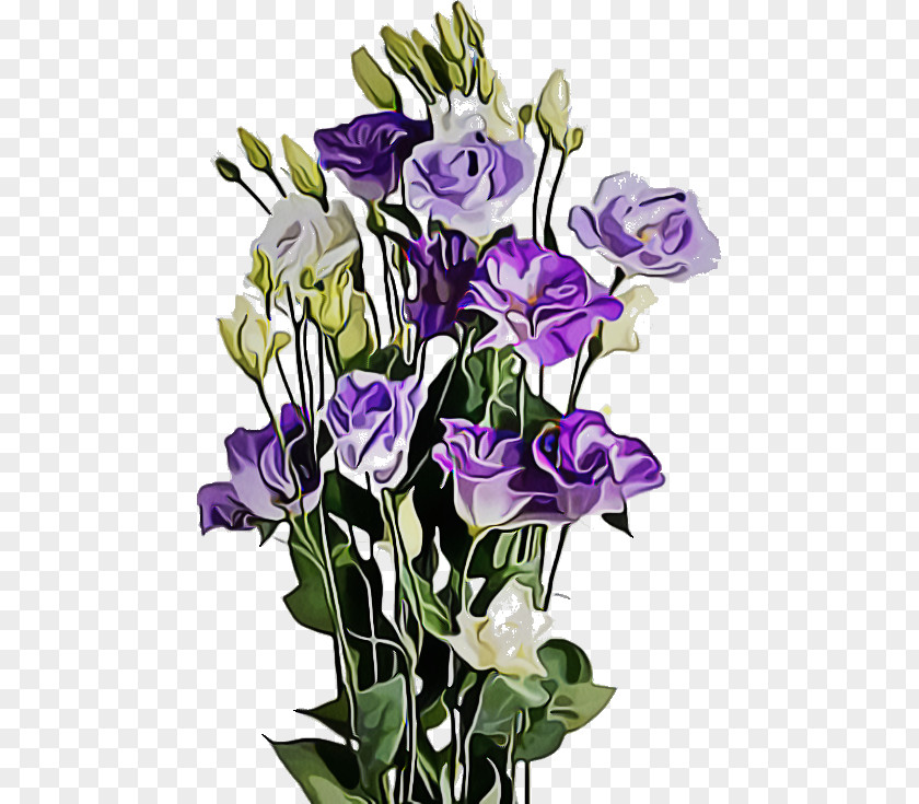 Gentian Family Violet Floral Design PNG