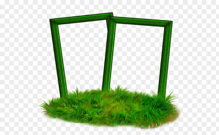 Moss Plant Green Background Frame PNG