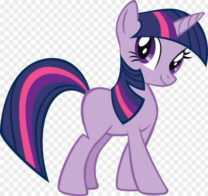 My Little Pony Twilight Sparkle Spike Pinkie Pie Rainbow Dash Rarity PNG