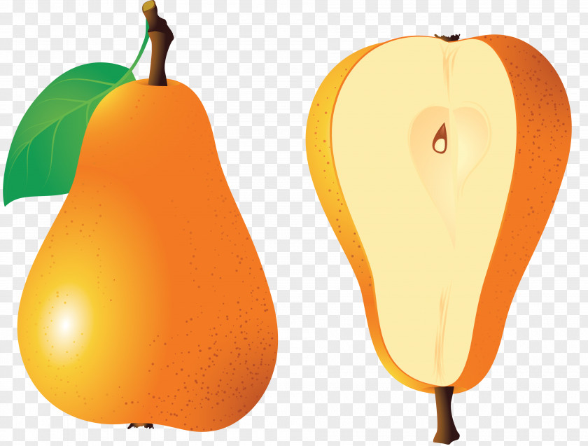Pear Image Euclidean Vector Fruit PNG